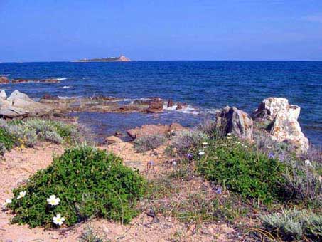 Vacanze case in Sardegna. locazioni immobiliari casa vacanza al mare san Teodoro affitti vicino olbia Golfo Aranci. Spiaggia la Cinta